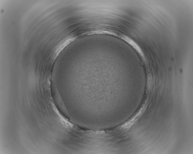 X0000088670809200705311141