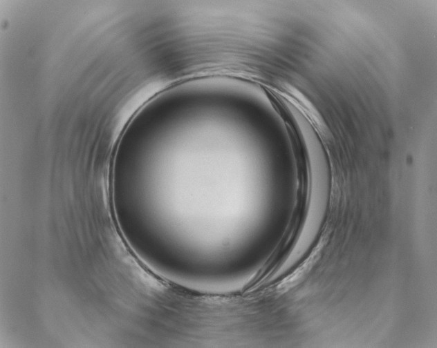 X0000088670812200705311141
