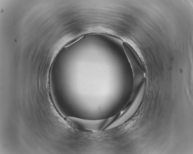 X0000088670815200705311141