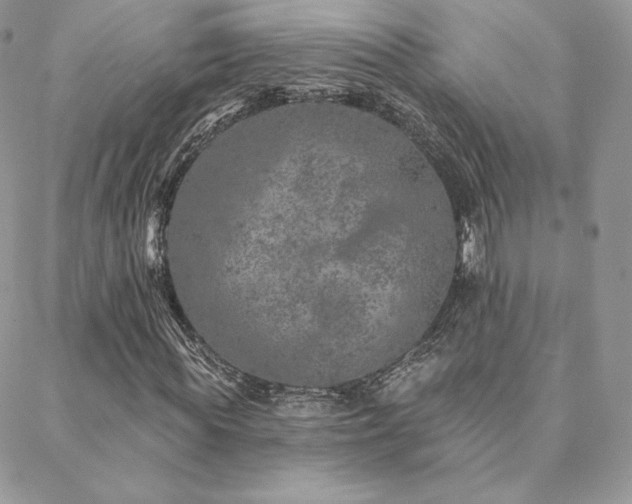 X0000088670819200705311140