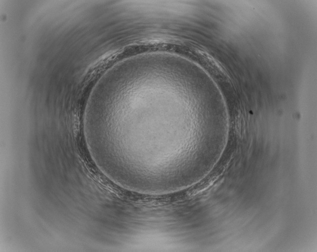 X0000088670821200705311140