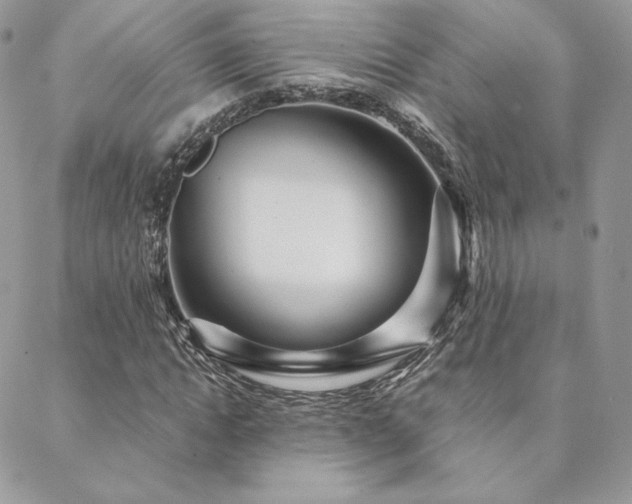 X0000088670822200705311140