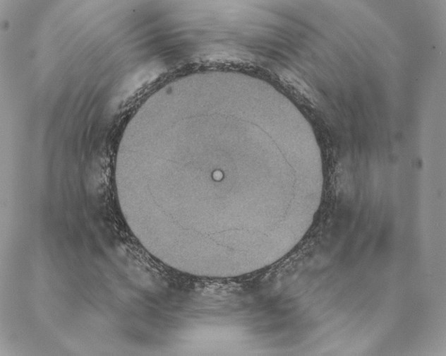 X0000088670824200705311140