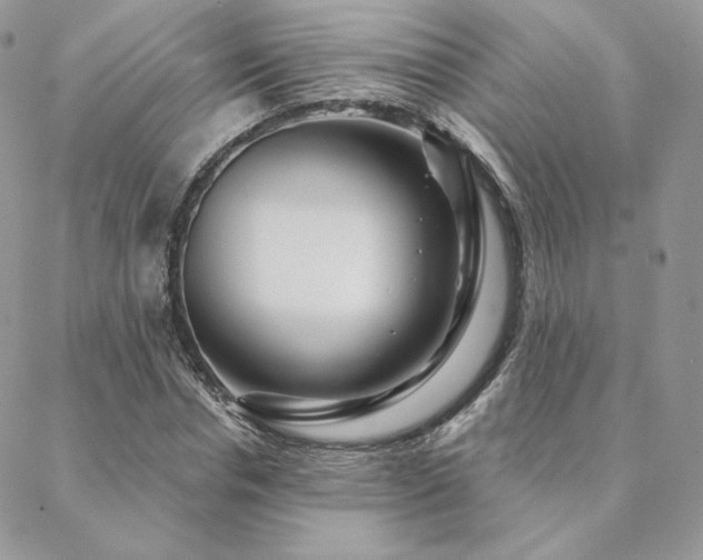 X0000088670826200705311140