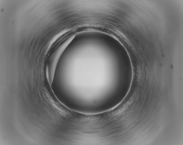 X0000088670830200705311140