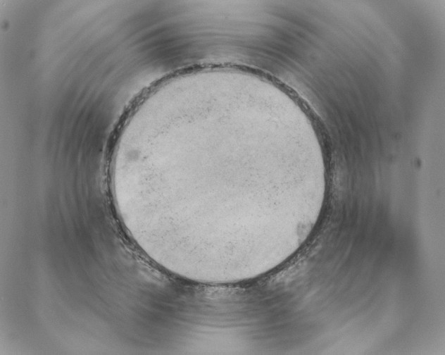 X0000088670832200705311141