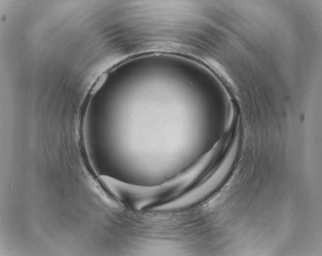 X0000088670846200705311141