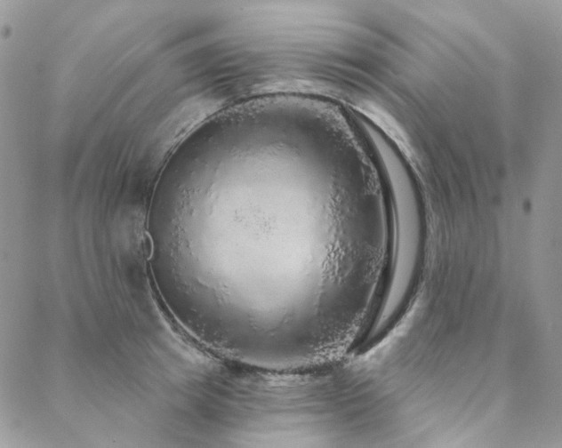 X0000088670849200705311141