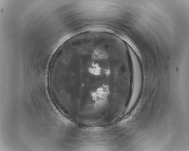 X0000088670853200705311141