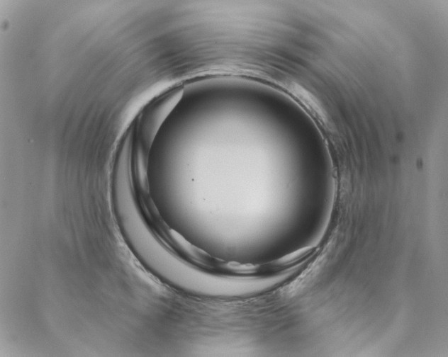 X0000088670854200705311141