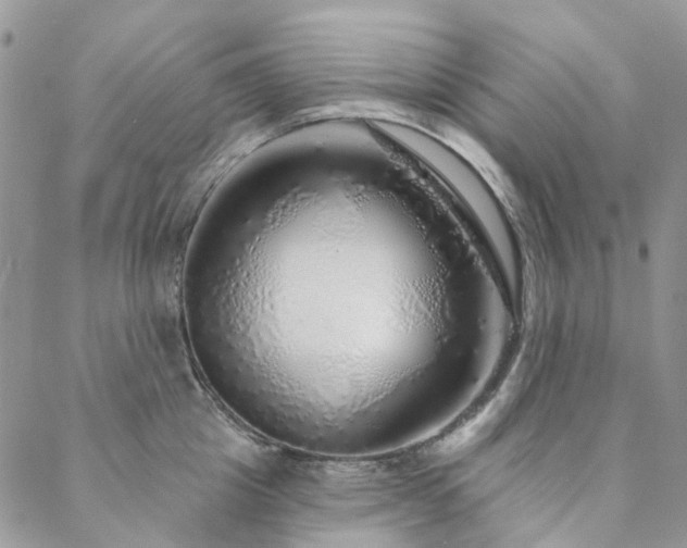 X0000088670857200705311141