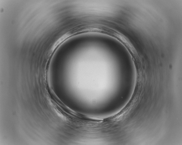 X0000088670858200705311141