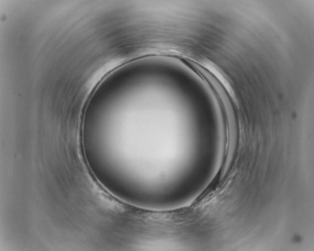X0000088670861200705311141