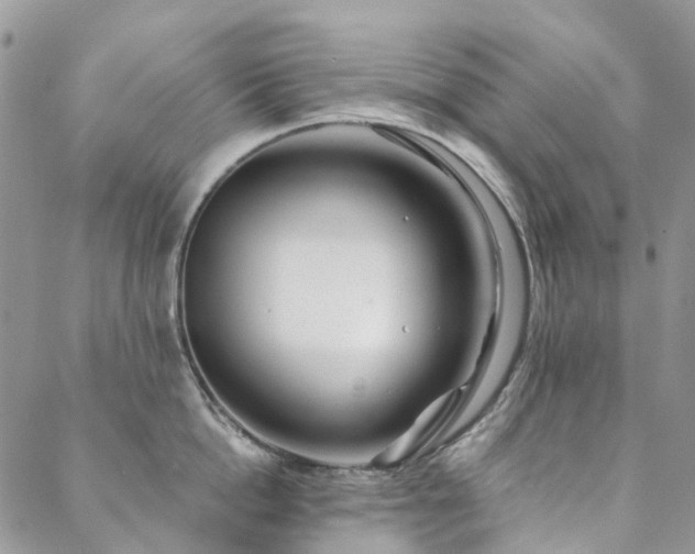 X0000088670862200705311141