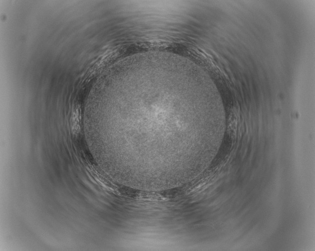 X0000088670866200705311140