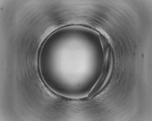 X0000088670894200705311140