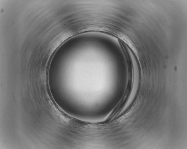 X0000088670898200705311140
