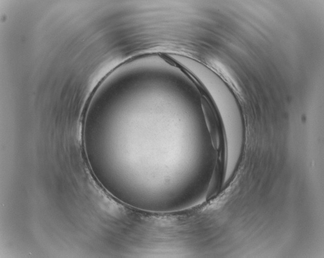 X0000088670900200705311140