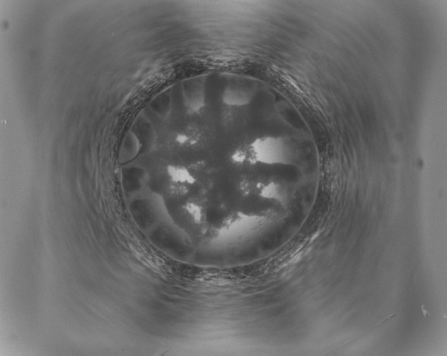 X0000088670913200705311139