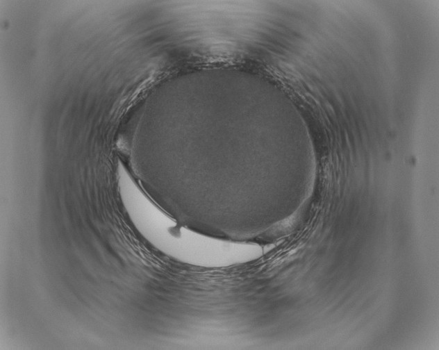 X0000088670916200705311139
