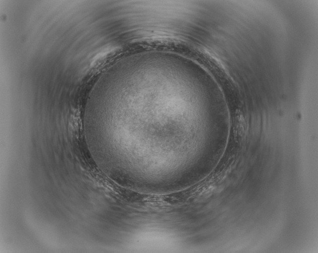 X0000088670918200705311139