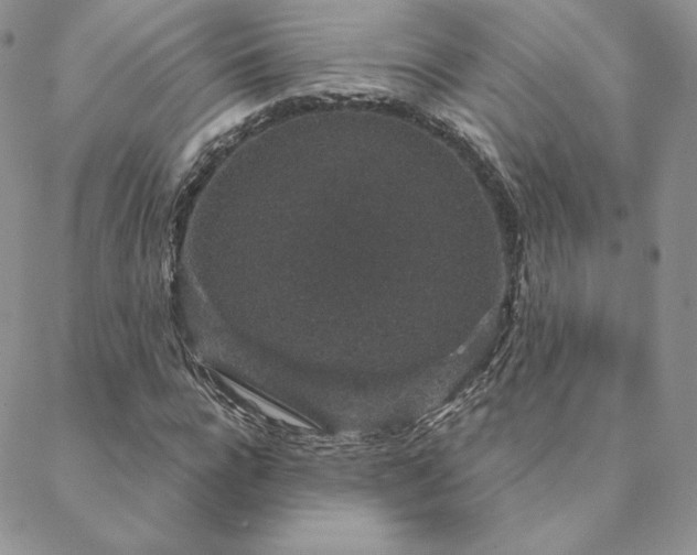 X0000088670920200705311139