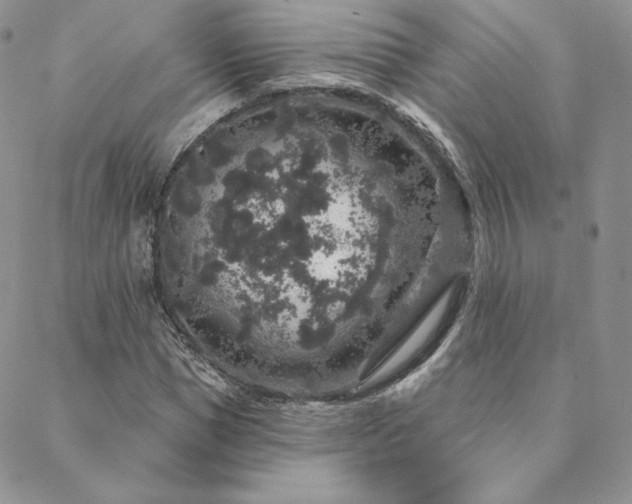 X0000088670921200705311139