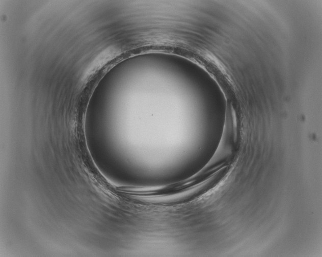 X0000088670922200705311139