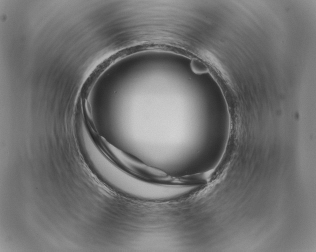 X0000088670924200705311139