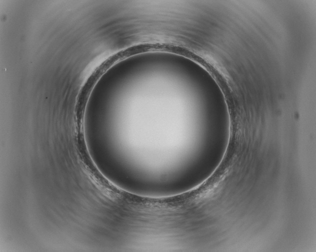 X0000088670927200705311139