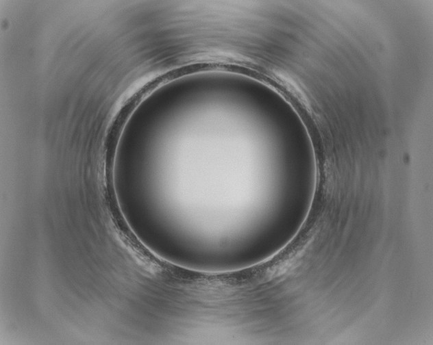 X0000088670931200705311139