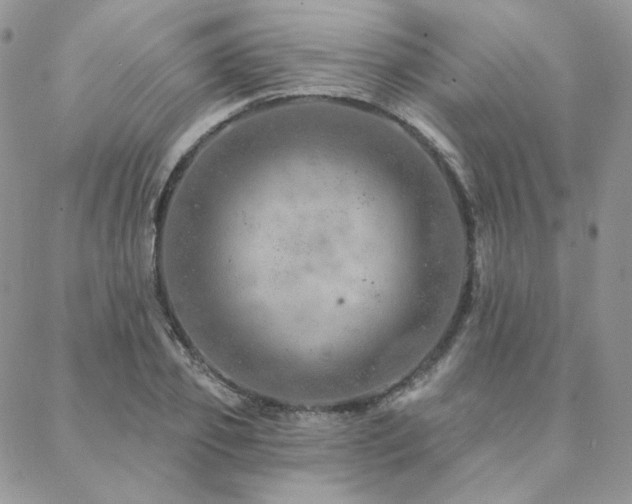X0000088670933200705311139
