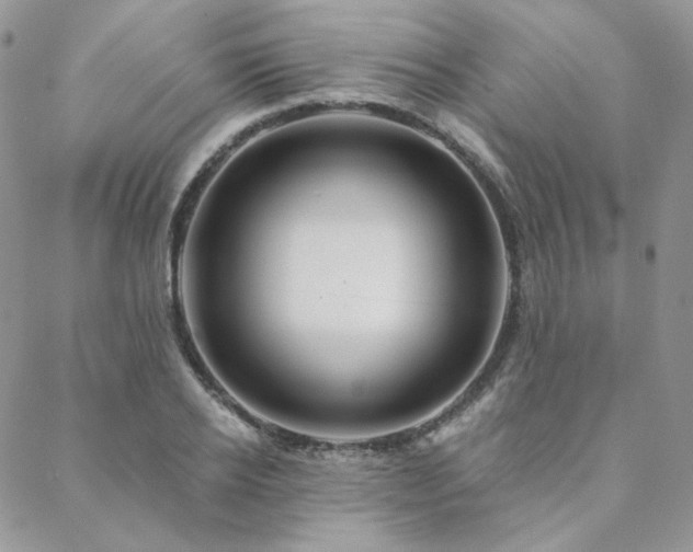 X0000088670934200705311139