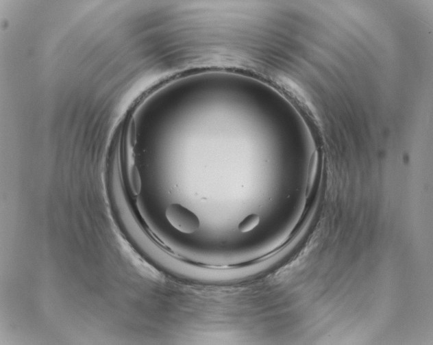 X0000088670942200705311139