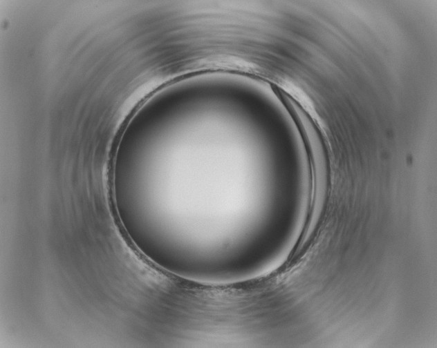 X0000088670947200705311139