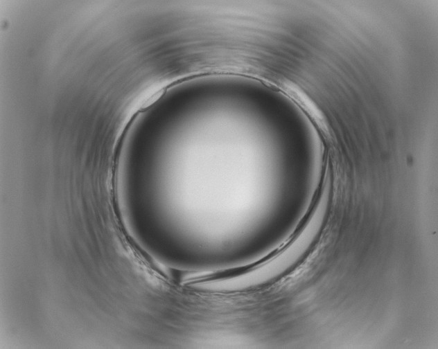 X0000088670956200705311139