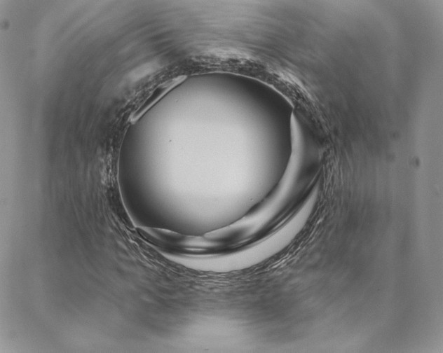 X0000088670965200705311139