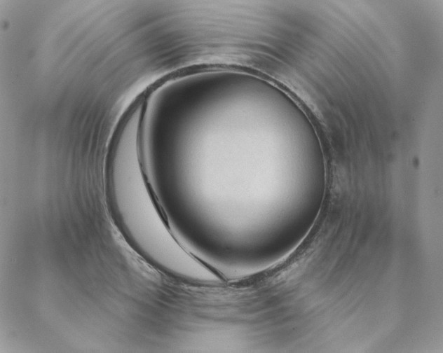 X0000088670980200705311138
