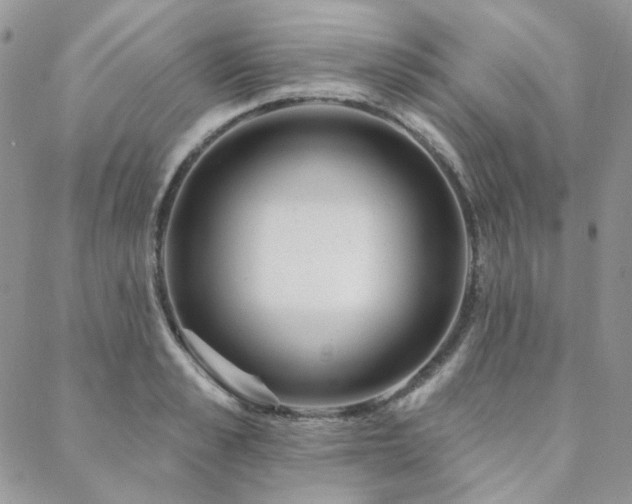 X0000088670989200705311138
