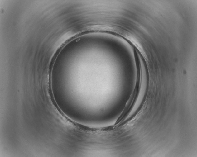 X0000088670992200705311138