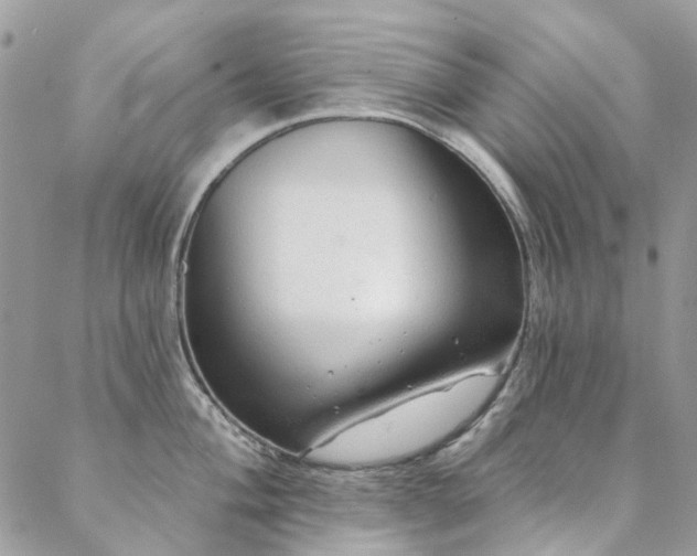 X0000088671004200705311138