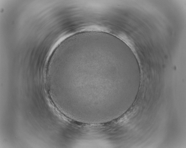 X0000088671008200705311138