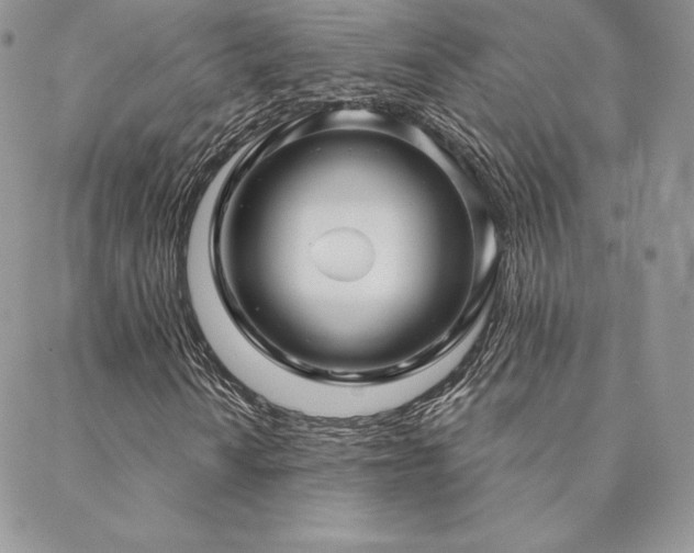 X0000088671010200705311137