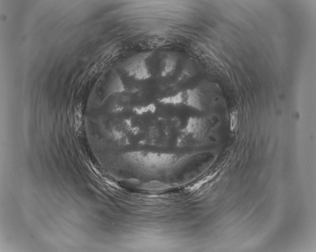 X0000088671011200705311137