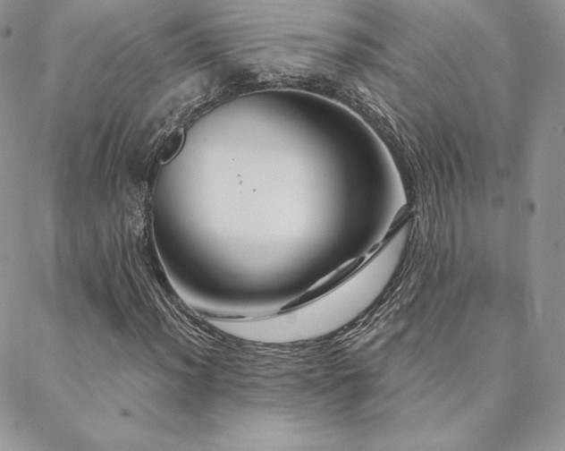 X0000088671012200705311137