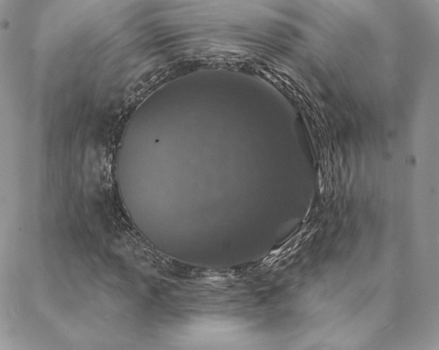 X0000088671013200705311137