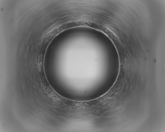 X0000088671015200705311137