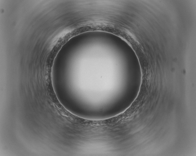 X0000088671016200705311137