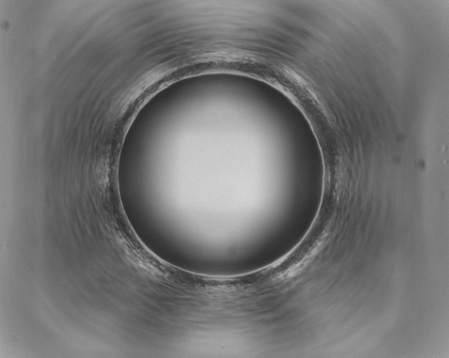 X0000088671017200705311137