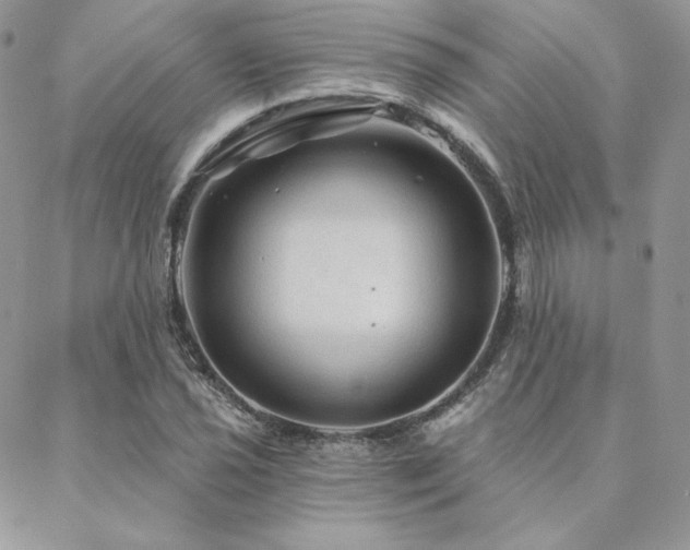 X0000088671021200705311137